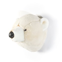 Kutup ayısı 'Basile'
