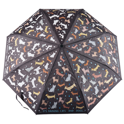 Floss & Rock Renk Değiştiren Şemsiye / Raining Cats & Dogs