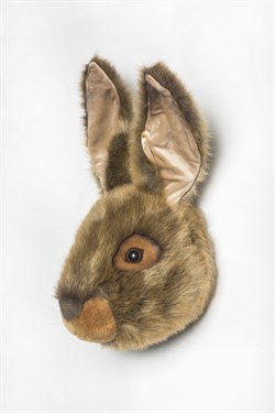Wild & Soft Yabani Tavşan 'Lewis' Peluş Duvar Büstleri